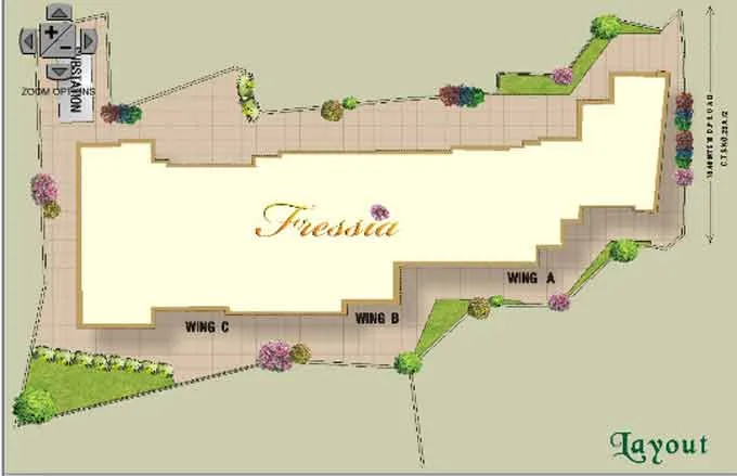 Layout