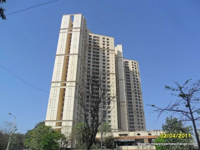 Main Image