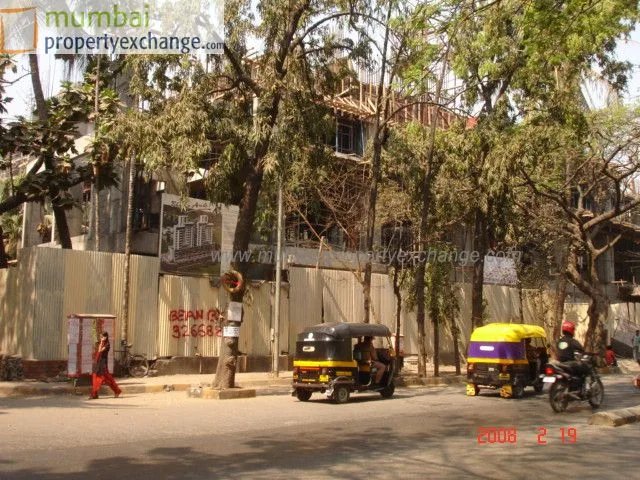 19 Feb 2008
