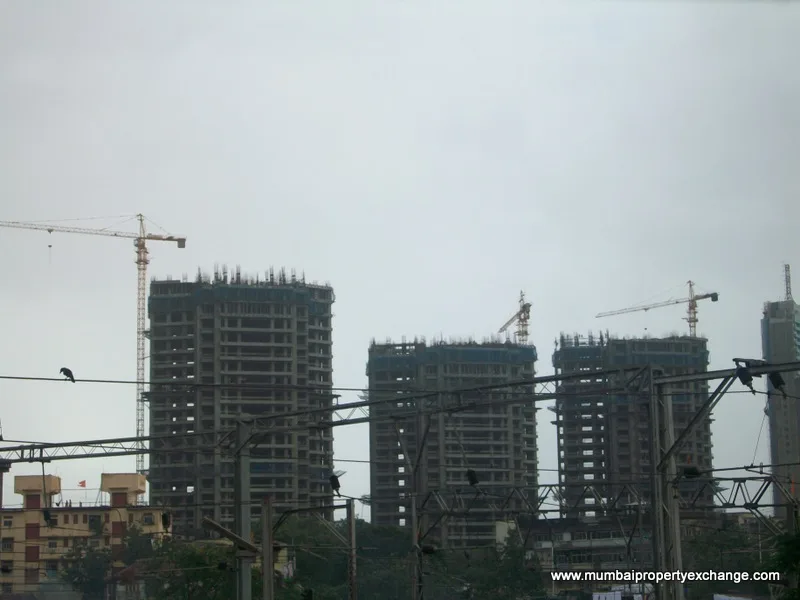 25 July 2009