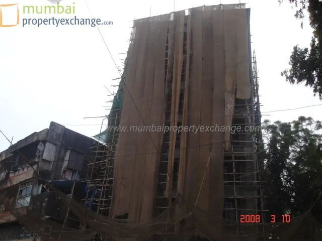 10 March 2008