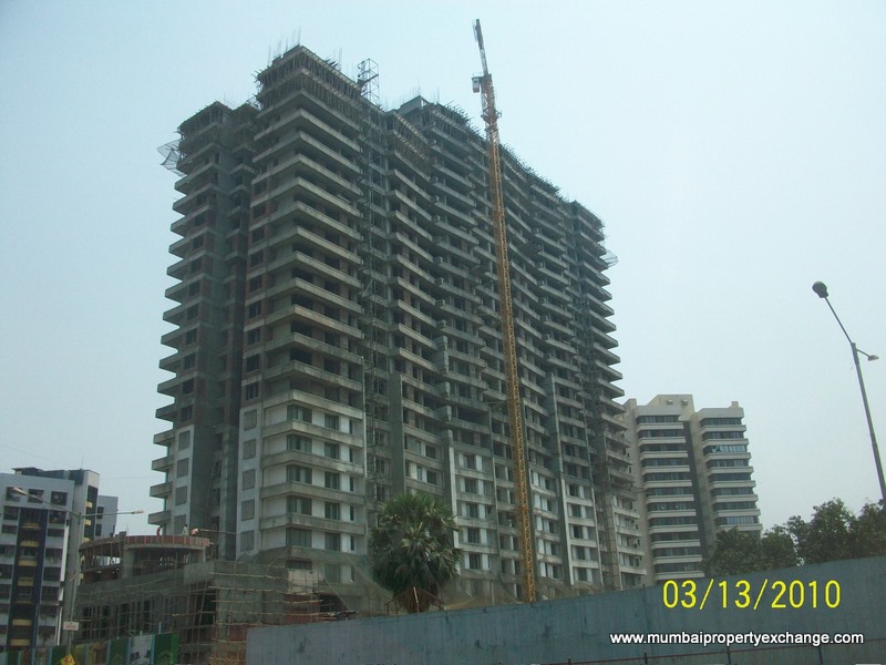 13 March 2010