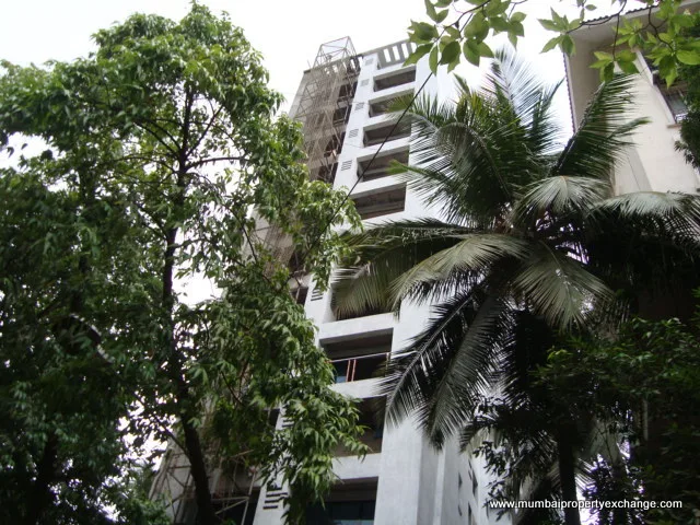24 June 2009