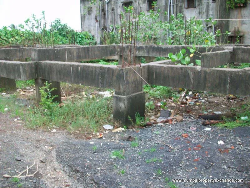 27 July 2009