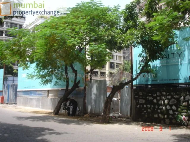 1st Aug 2008