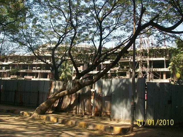 05 Jan 2010