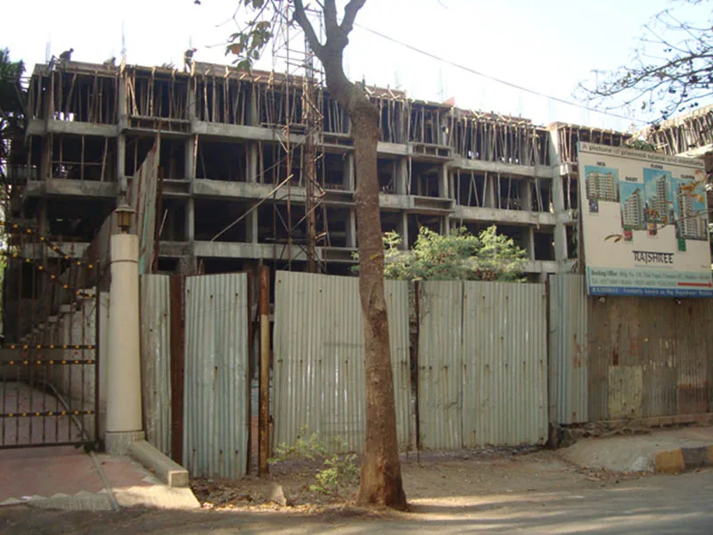 6 Feb 2009