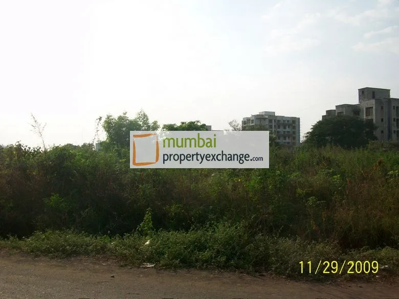 1st Dec 2009