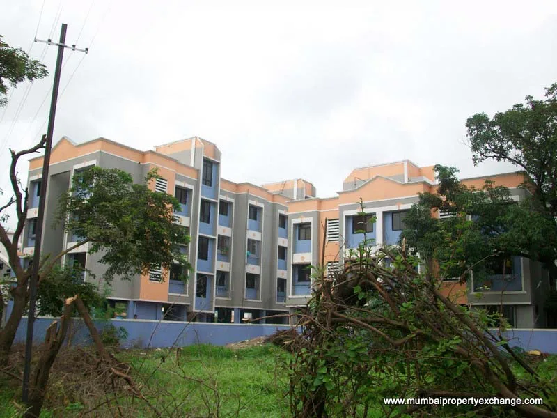 29 July 2009