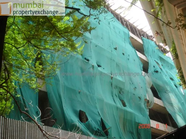 1st Aug 2008