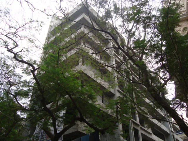 29 Jan 2009