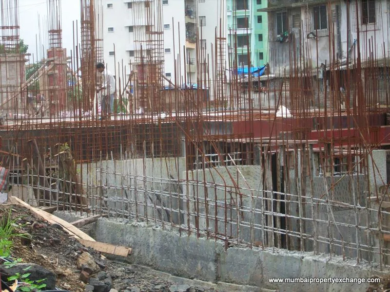 29 July 2009