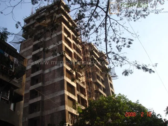 12 Feb 2008