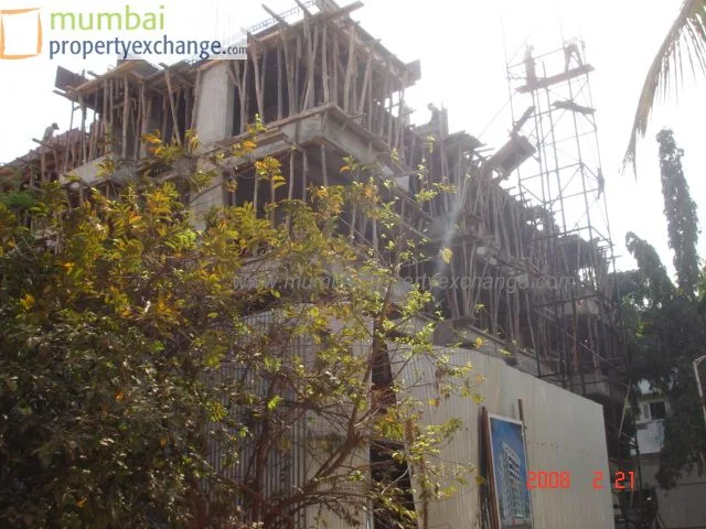 21 Feb 2008