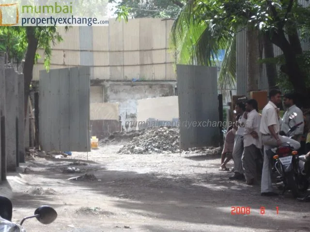 1st Aug 2008