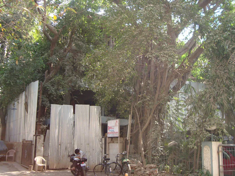 28 Jan 2009