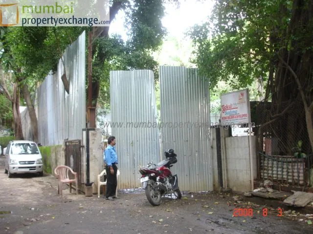 3rd August 2008