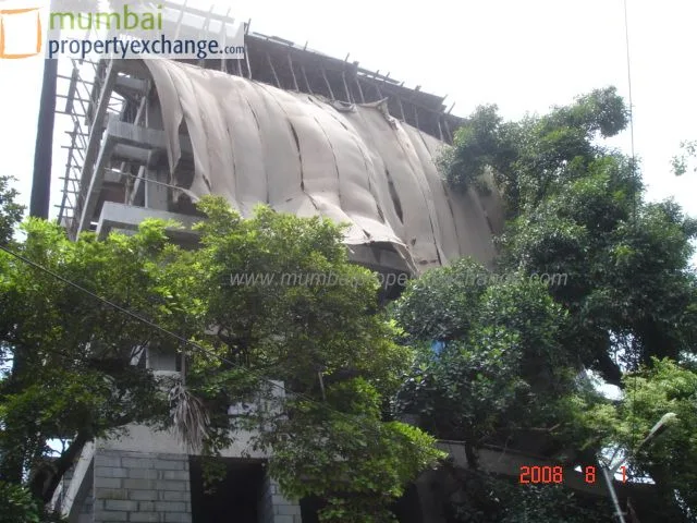 1st Aug 2008