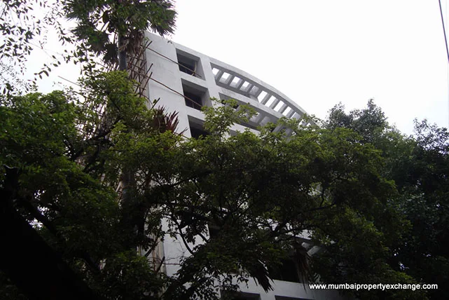 25 June 2009 — photo 4