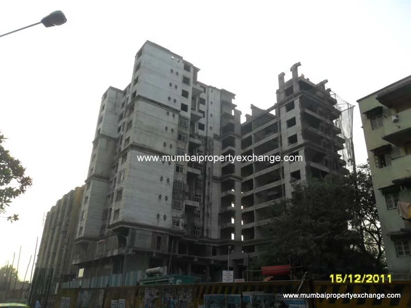17th Dec 2011