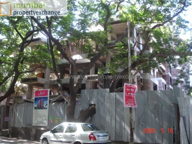19 May 2008