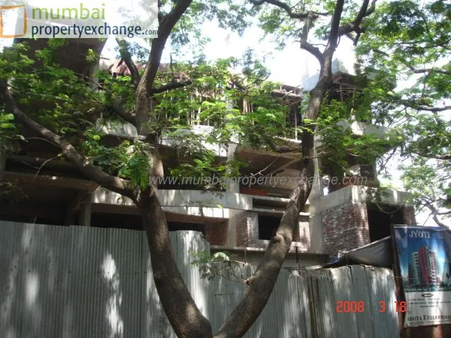 3 BHK Flats on Rent in Jyoti, Nepeansea Road