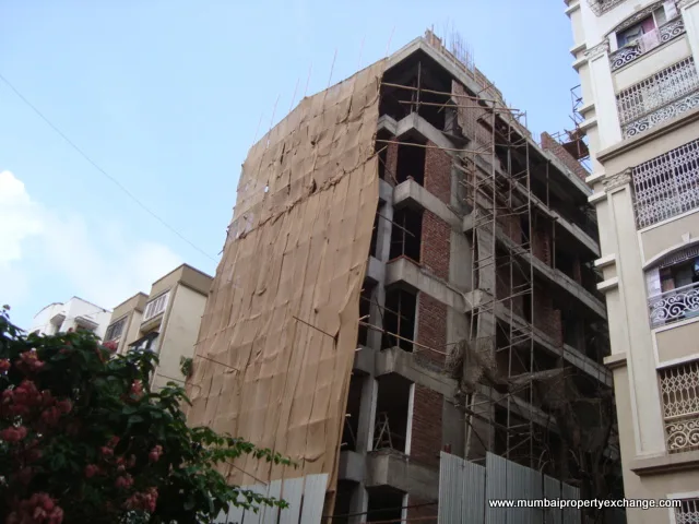 24 June 2009