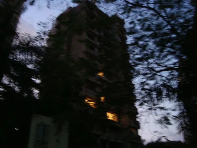 8 Oct 2008