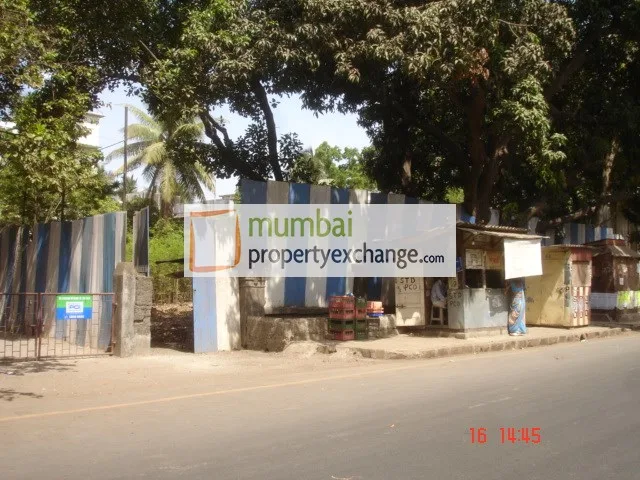 15 June 2009