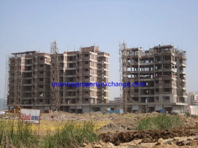 17 Oct 2008