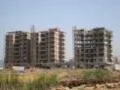 19 March 2009