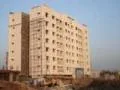 19 March 2009