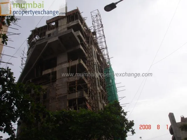 1st Aug 2008