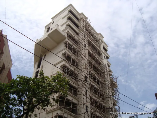 25 June 2009