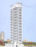 17 March 2009