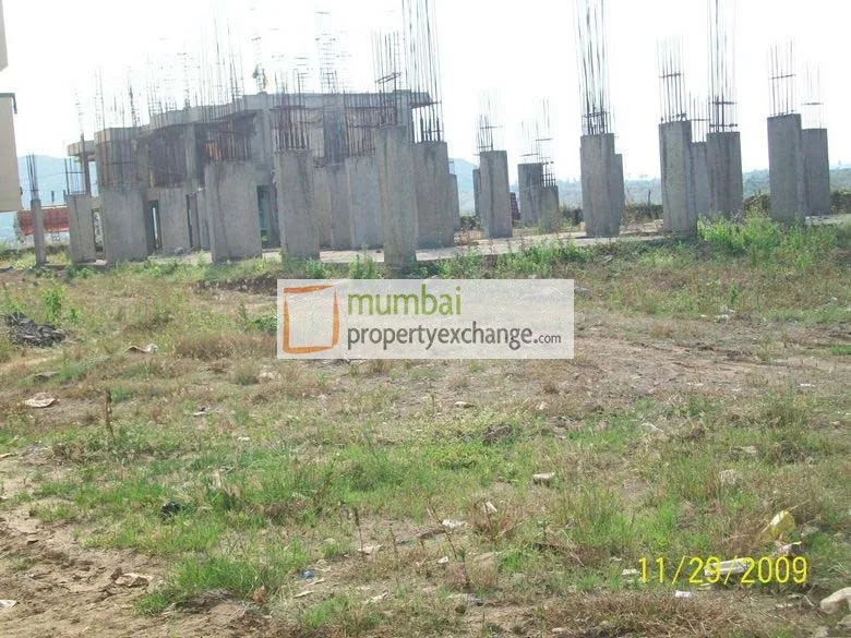 1st Dec 2009
