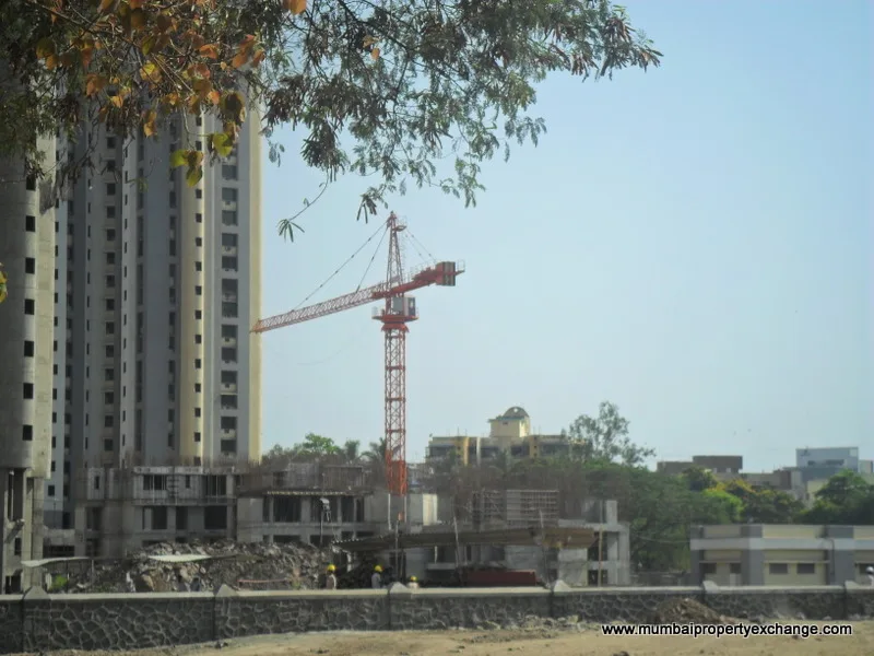 Phase III-29th March 2011