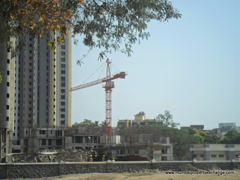 Phase III-29th March 2011