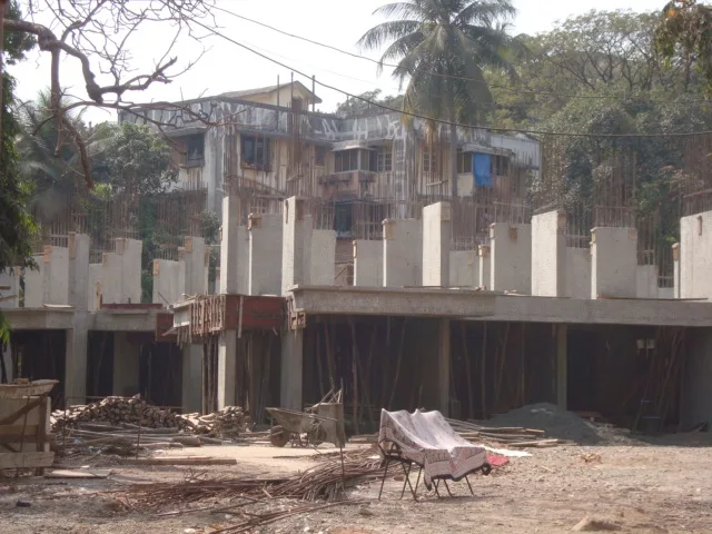 15 Jan 2009