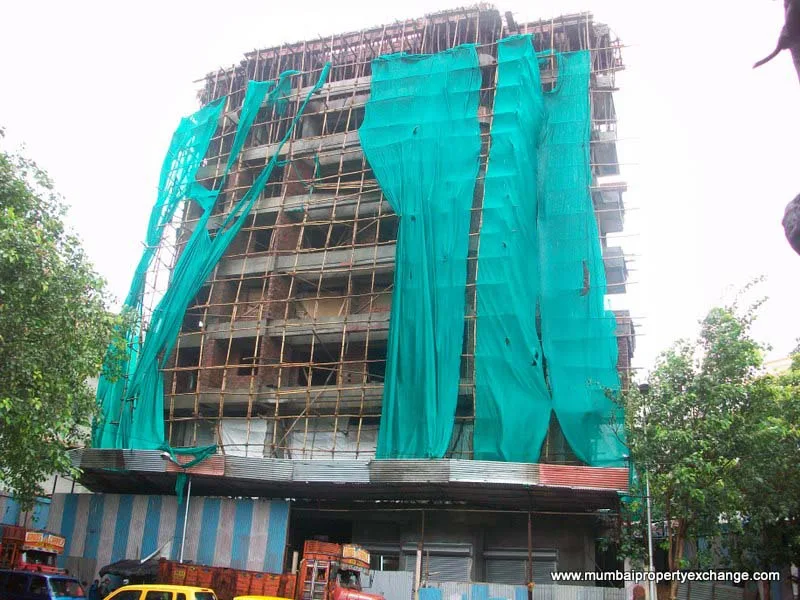 25 July 2009