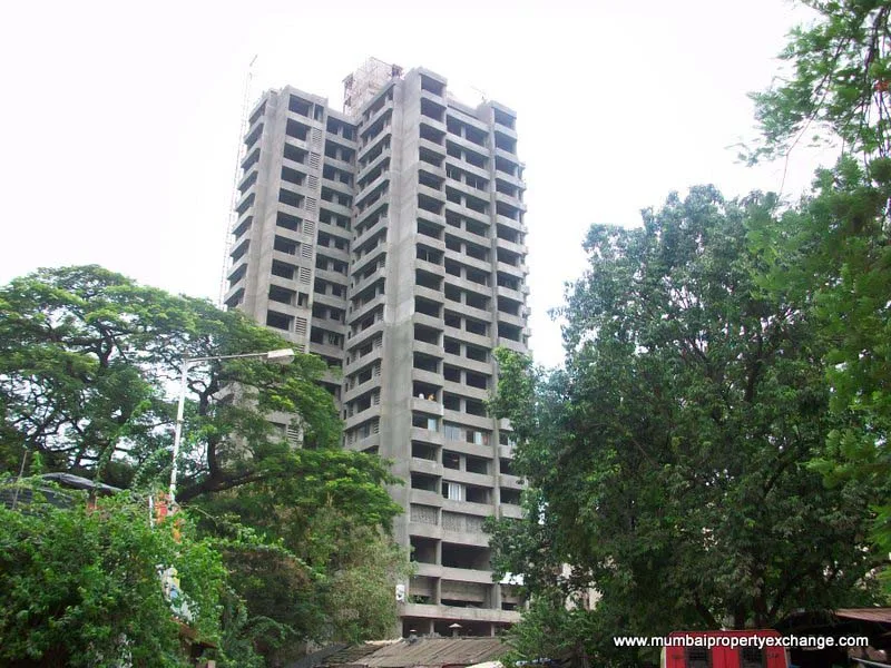 25 July 2009