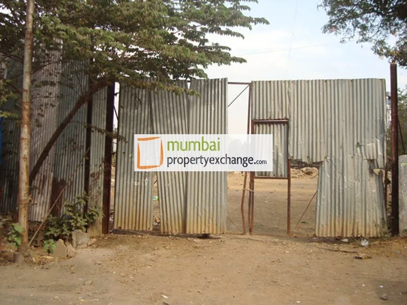 20 Jan 2009