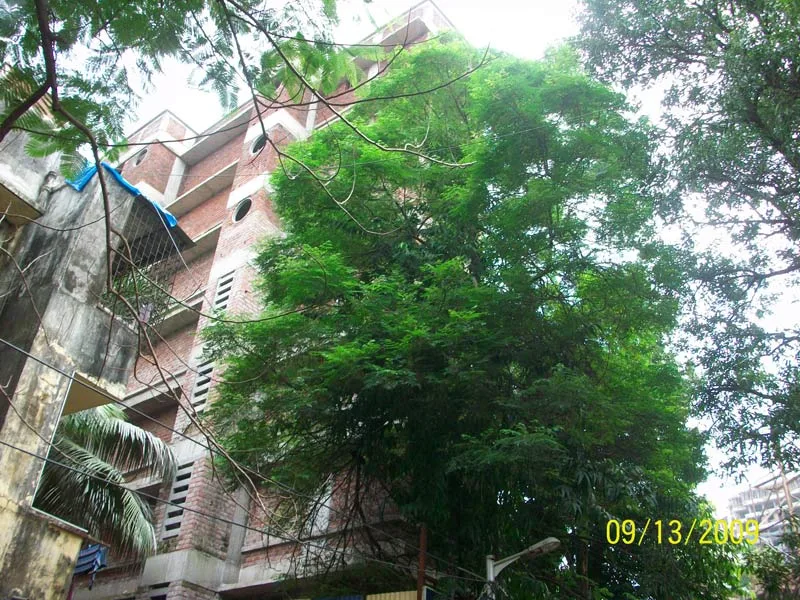 13th Sep 2009