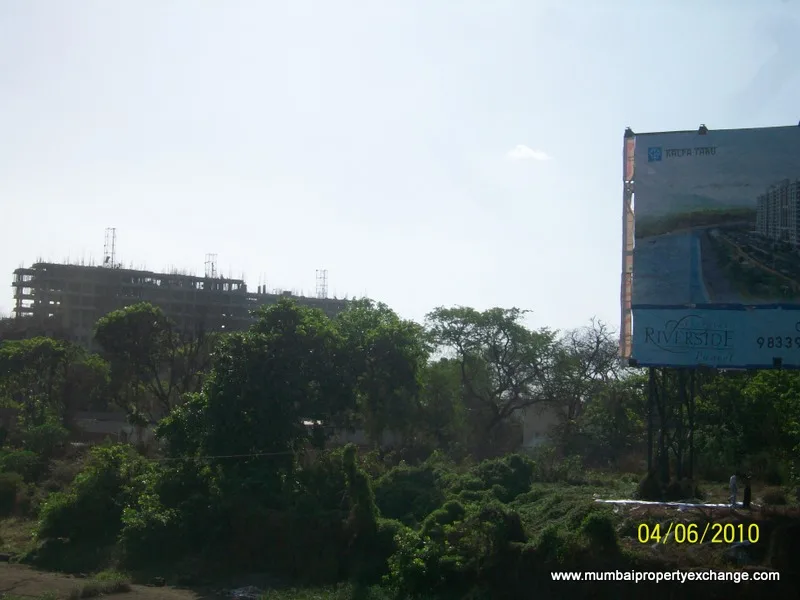 5 June 2010