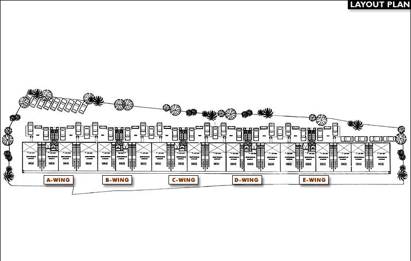 Layout