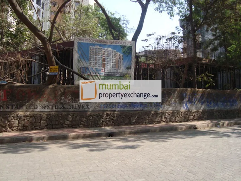 14 Feb 2009