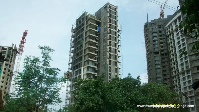 17th Aug 2010