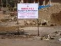 17 March 2009