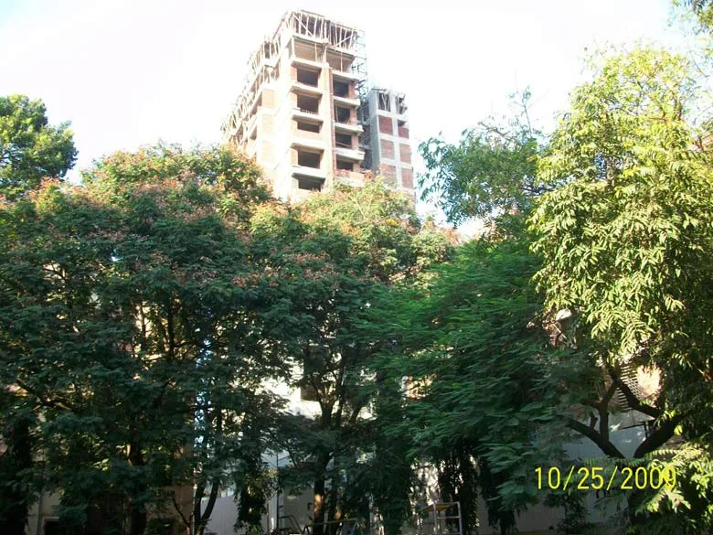 28th Nov 2009