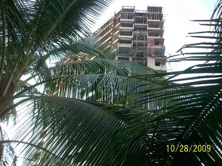 29 Oct 2009